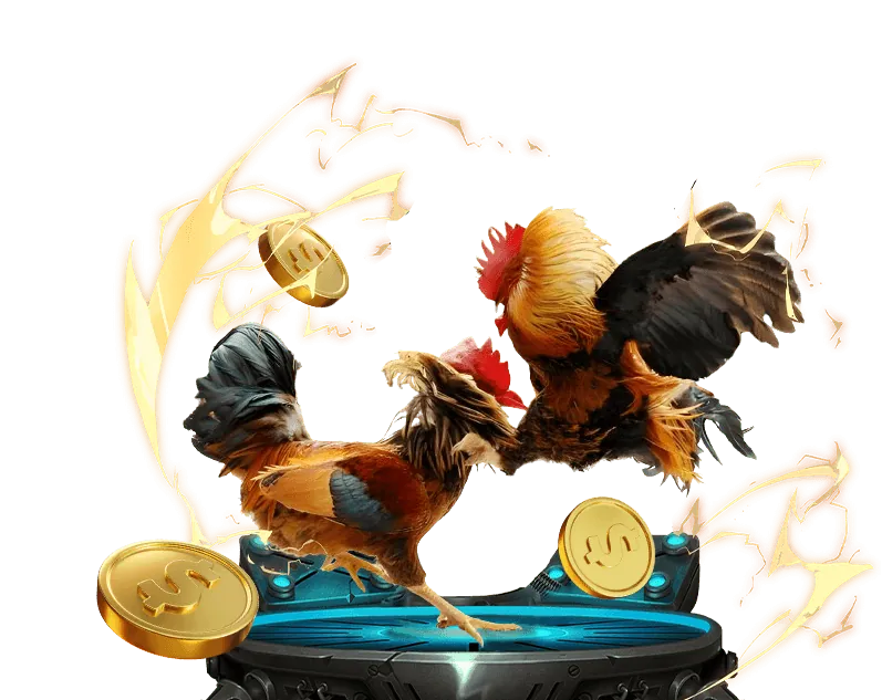 Sân đấu đá gà trực tuyến 999WIN